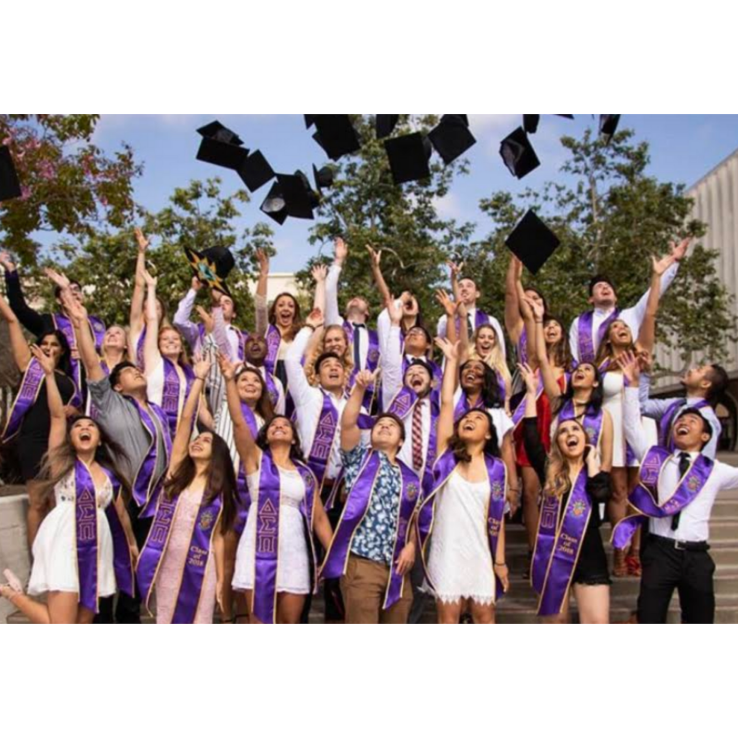 Delta Sigma Pi Graduation Stole / Sash