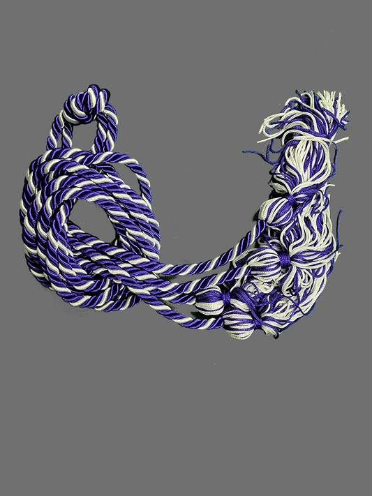 Graduation Cord / Honor Cords Intertwined Purple and White