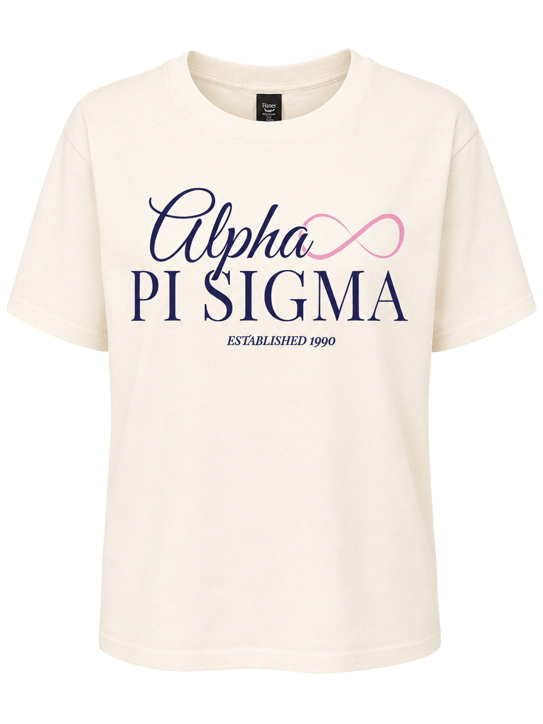 Alpha Pi Sigma Infinity Established 1990 T-Shirt